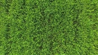 Hava: Kamera bir alanlar izler