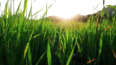 Hava: Kamera bir alanlar izler