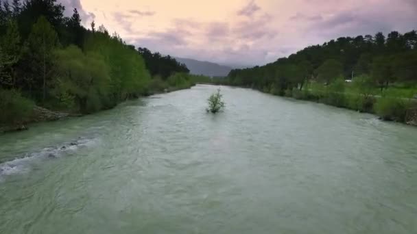 Top Över Fast Moving Floden Med Forsar Omgiven Tallskog Skjuten — Stockvideo