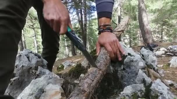 Un homme scie un arbre pour le bois de chauffage avec une scie à main . — Video