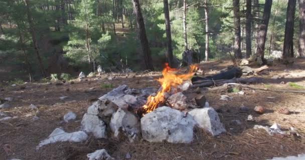 Man förbereder eld på grön äng — Stockvideo