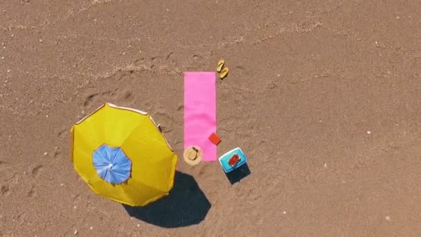 AÉRIAL : Jolie jeune femme bronzant sur la plage 