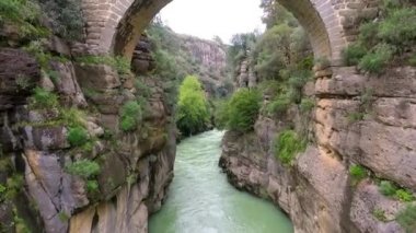 Çam Ormanı ile çevrili Hızlı Nehir 'in Tepeden Aşağı Manzarası.