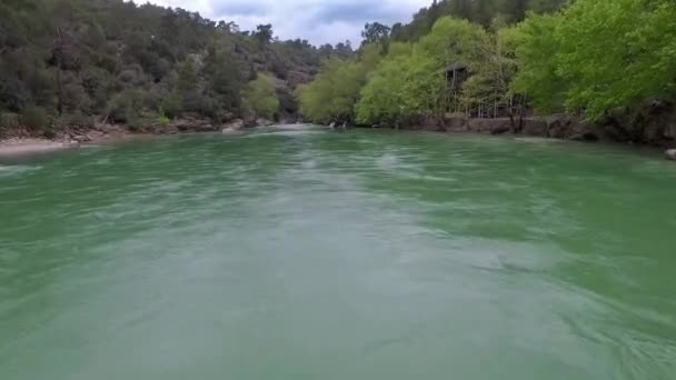 Vue du haut vers le bas de la rivière en mouvement rapide avec des rapides entourés par la forêt de pins . — Video