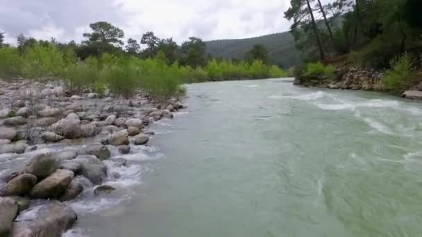 Pohled shora dolů na rychle se pohybující řeku s peřejemi obklopenou borovým lesem. — Stock video
