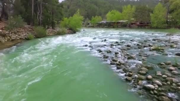 环绕着松林的快速流转河流的自上而下视图. — 图库视频影像