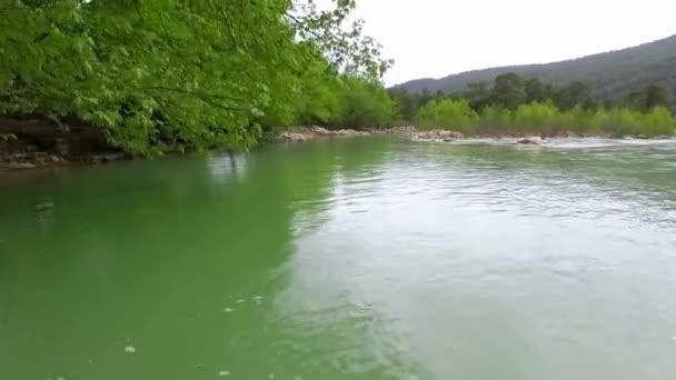 Çam Ormanı ile çevrili Hızlı Nehir 'in Tepeden Aşağı Manzarası. — Stok video