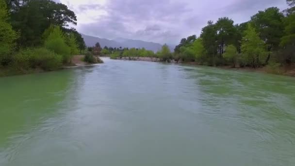 环绕着松林的快速流转河流的自上而下视图. — 图库视频影像