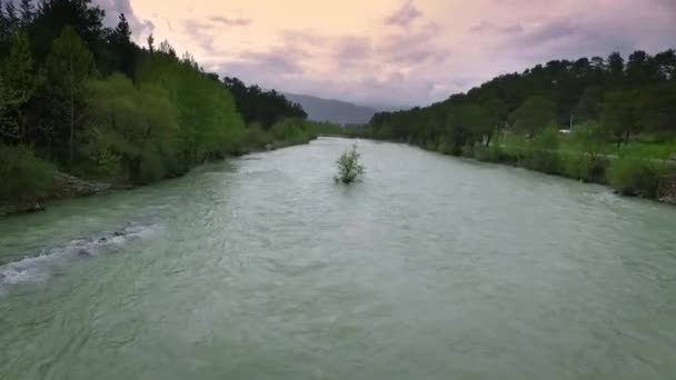 Top Down uitzicht op Fast Moving River met stroomversnellingen Omringd door Dennenbos. — Stockvideo