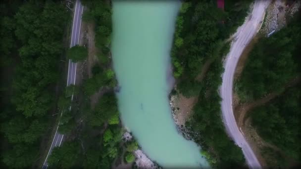 松の森に囲まれた急流の高速移動川のトップダウンビュー. — ストック動画