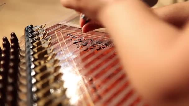 Cultura turca Grupo de Música Clássica Cultura asiática — Vídeo de Stock