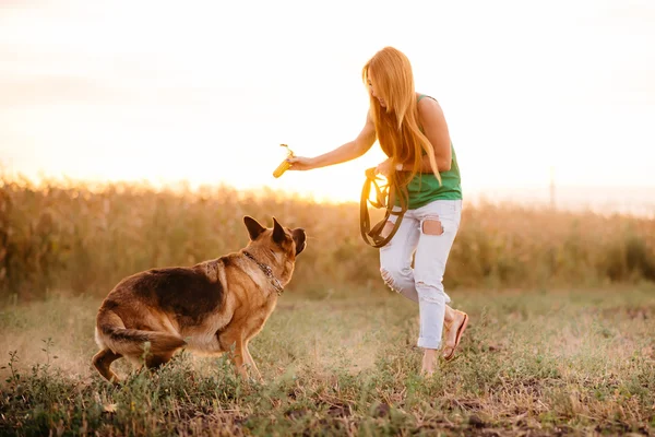 강아지와 노는 여자 — 스톡 사진