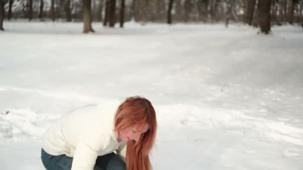 母亲和儿子开心在雪地里精彩冬季的一天 — 图库视频影像