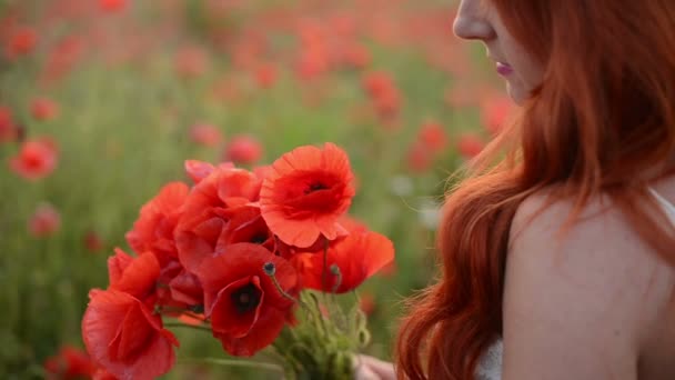 Um buquê de papoilas nas mãos de uma bela mulher ruiva de perto — Vídeo de Stock