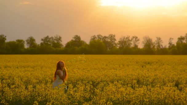 Jonge rode-haar vrouw bellen blazen op de camera buiten in de zomer weide — Stockvideo