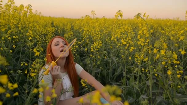 Ung röd-hår kvinna blåser bubblor på kameran utomhus i sommaräng — Stockvideo
