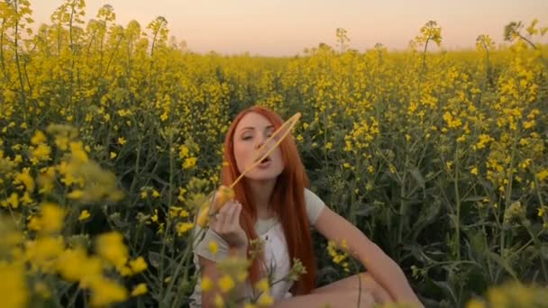 Joven mujer pelirroja soplando burbujas en la cámara al aire libre en el prado de verano — Vídeos de Stock