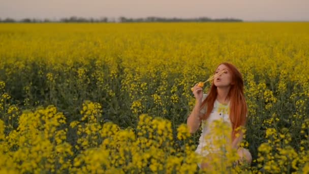 Young red-hair woman blowing bubbles at the camera outdoors in summer meadow — Stock Video