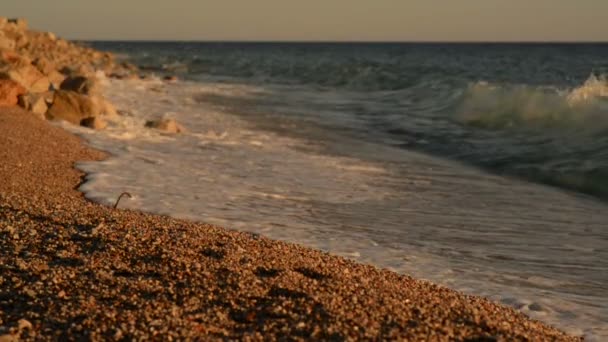 Vlny na pobřeží Jaderského moře, západ slunce — Stock video
