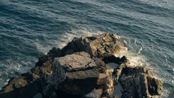 Água transparente na costa rochosa do Mar Adriático — Vídeo de Stock