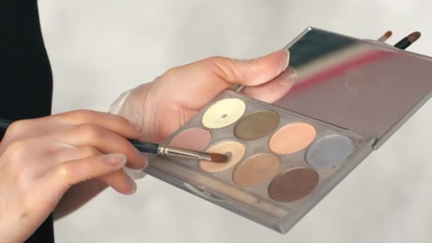 Maquillaje artista utiliza una paleta de sombras de ojos en un salón de belleza — Vídeos de Stock