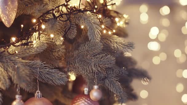 Різдвяна ялинка з барвистими боке та різдвяними вогнями — стокове відео