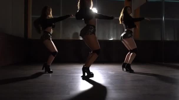 Sexiga tjejer dansar twerk på golvet — Stockvideo