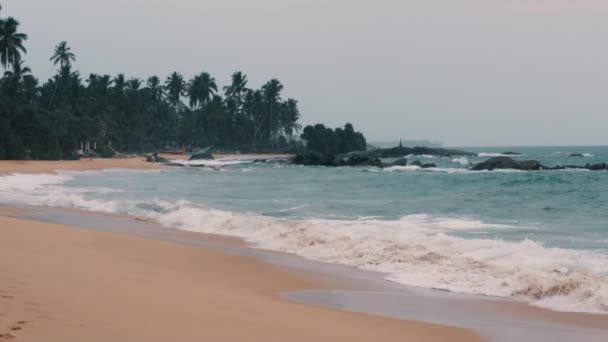 Vista de la playa de Sri Lanka, olas en la orilla — Vídeos de Stock