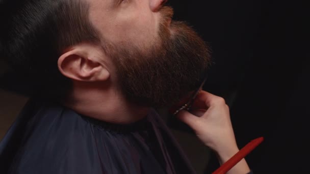 Barbeiro penteando barba com um par de tesouras em uma barbearia — Vídeo de Stock