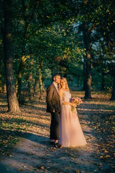 Recién casados caminando en el bosque al atardecer —  Fotos de Stock