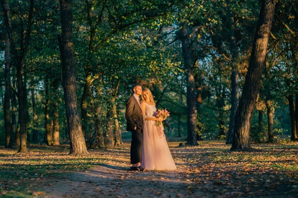 Novomanželé, procházky v lese při západu slunce — Stock fotografie