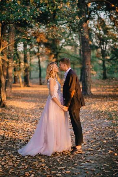 Jeunes mariés marchant dans les bois au coucher du soleil — Photo
