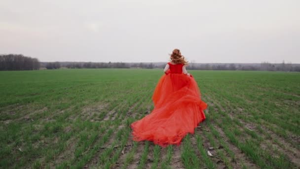 Jeune femme dans une robe rouge de luxe court le long de l'herbe verte — Video