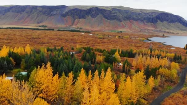 Luchtfoto van kleurrijk herfstlandschap in nationaal park Thingvellir, IJsland — Stockvideo