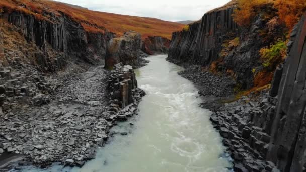 Drone voar de volta sobre canyon de colunas de basalto preto, Islândia — Vídeo de Stock