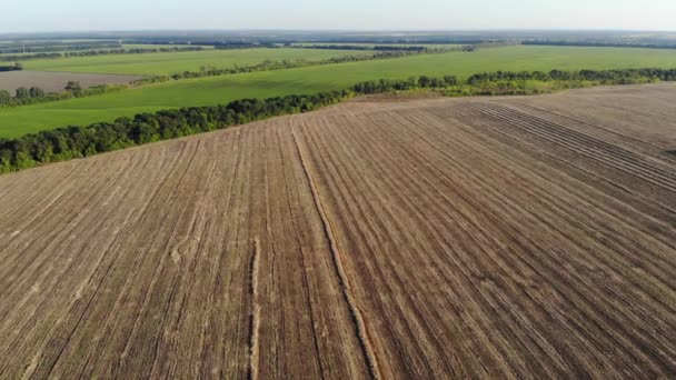 Vista aérea de um grande campo agrícola após a colheita em um dia ensolarado — Vídeo de Stock