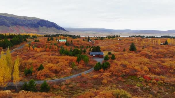 Widok z lotu ptaka na kolorowy jesienny krajobraz w parku narodowym Thingvellir, Islandia — Wideo stockowe