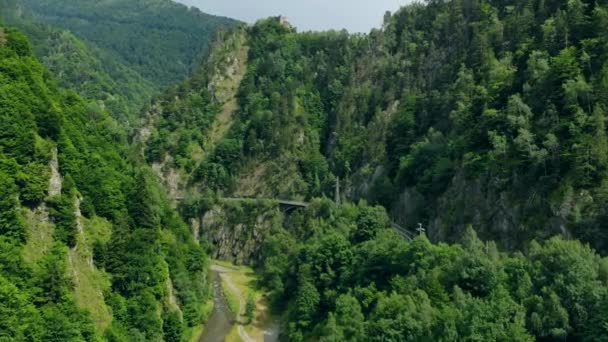 Vista aérea de un río que fluye en un cañón entre las altas montañas cubiertas de bosque — Vídeos de Stock