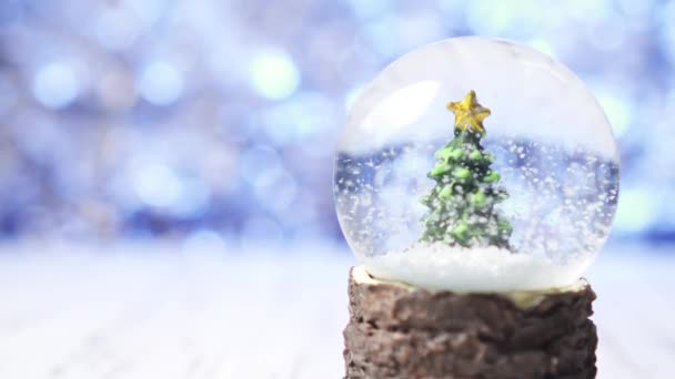 Крупный план снежинок, кружащихся вокруг елки внутри стеклянного шара — стоковое видео