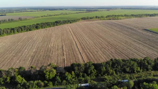 Vista aérea de um grande campo agrícola após a colheita em um dia ensolarado — Vídeo de Stock