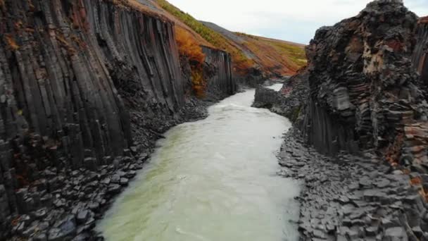 Widok z lotu ptaka na kanion Studlagil, rzeka Jokulsa A Bru na Islandii — Wideo stockowe