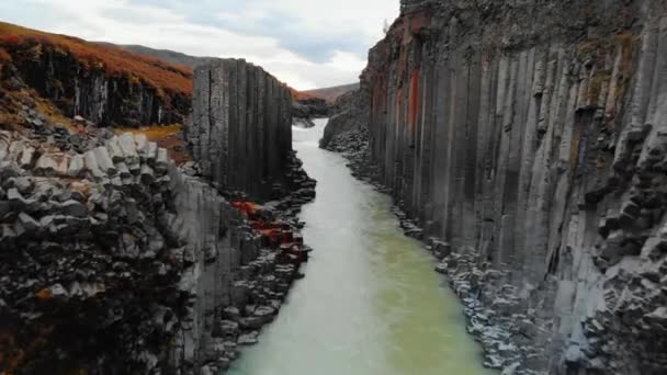 Dron lata nad kanionem kolumn czarnego bazaltu, Islandia — Wideo stockowe