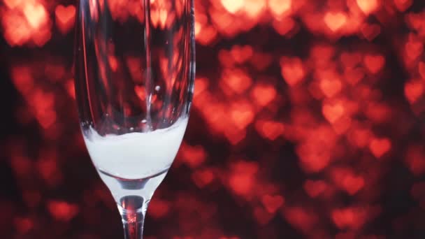 Champagne est versé dans un verre sur un fond rouge avec de nombreux cœurs, fermer . — Video