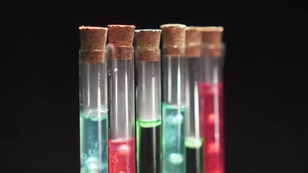 Kaynayan çok renkli sıvı ile cam test tüpleri. — Stok video