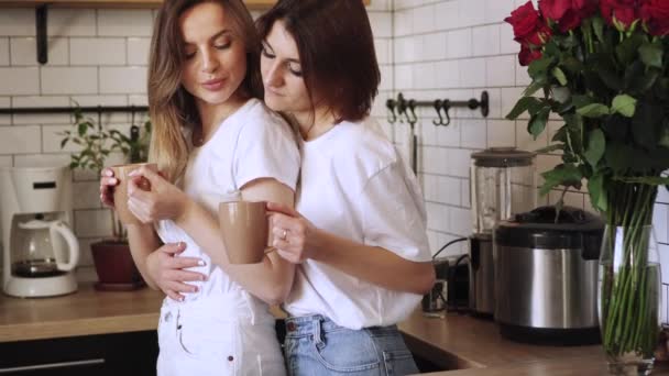 Egy fiatal leszbikus pár gyengéden ölelkezik otthon.. — Stock videók
