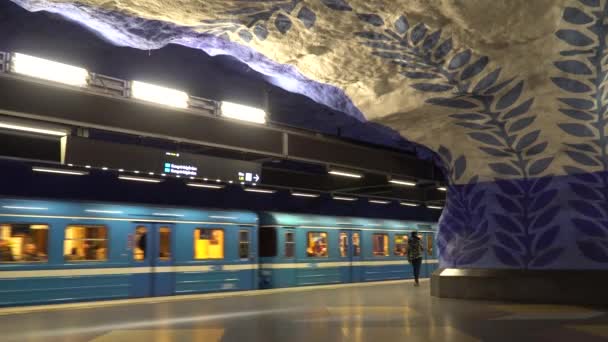 Stockholm, İsveç - 4 Aralık 2019 Stockholm T-Centralen istasyonundaki insanlar. — Stok video