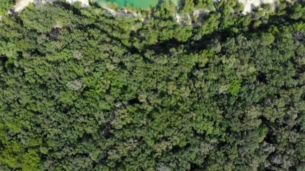 Aerial view of a blue lake surrounded by forest. — Stock Video