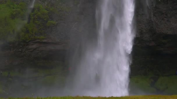 Vatten rinner nedför en mäktig bäck vid ett vattenfall. — Stockvideo