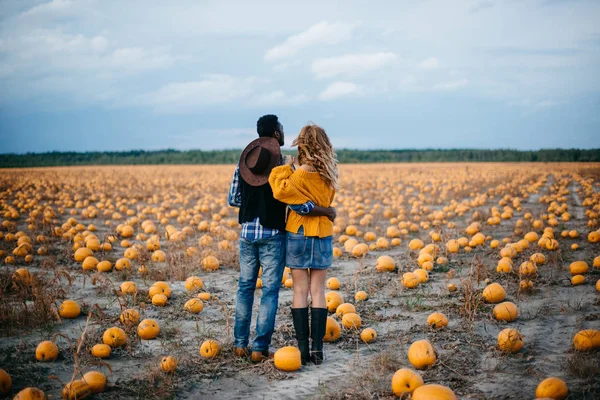 Una joven pareja de granjeros está en un campo de calabazas . —  Fotos de Stock