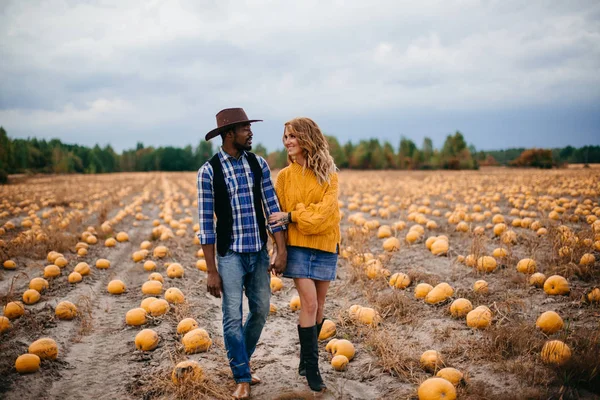 Una joven pareja de granjeros está caminando en un campo de calabazas . —  Fotos de Stock